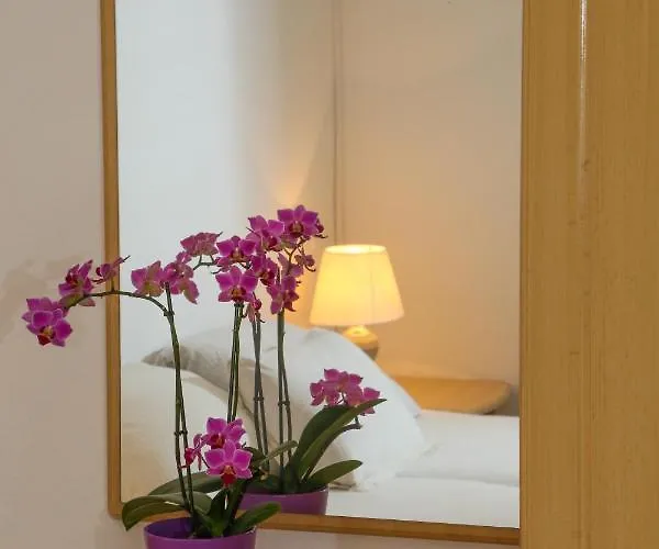 Butkovic Guest house Hvar Town